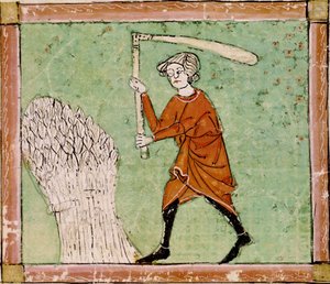 Fol.59r अगस्त: थ्रेसिंग गेहूं